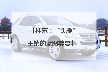 桂东：“头雁”王镇的蓝图美景