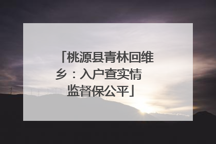 桃源县青林回维乡：入户查实情 监督保公平