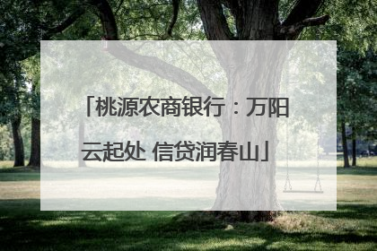 桃源农商银行：万阳云起处 信贷润春山