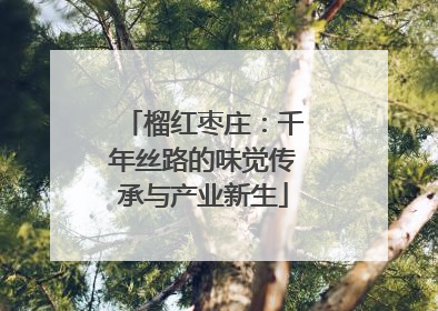 榴红枣庄：千年丝路的味觉传承与产业新生