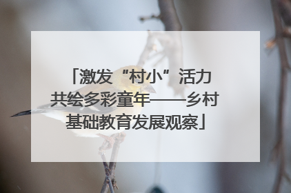 激发“村小”活力 共绘多彩童年——乡村基础教育发展观察