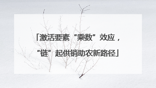 激活要素“乘数”效应，“链”起供销助农新路径