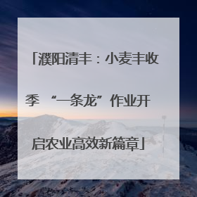 濮阳清丰：小麦丰收季 “一条龙”作业开启农业高效新篇章