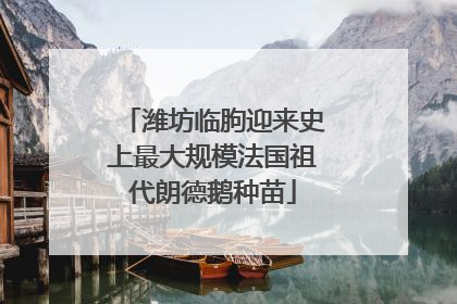 潍坊临朐迎来史上最大规模法国祖代朗德鹅种苗