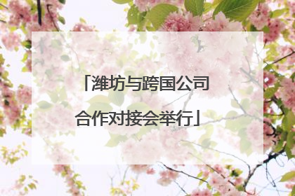潍坊与跨国公司合作对接会举行