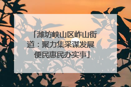 潍坊峡山区岞山街道：聚力集采谋发展 便民惠民办实事
