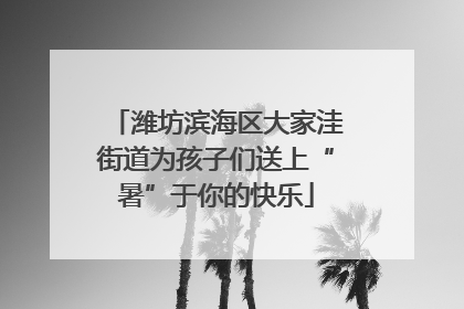 潍坊滨海区大家洼街道为孩子们送上“暑”于你的快乐