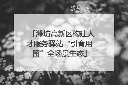 潍坊高新区构建人才服务驿站“引育用留”全场景生态