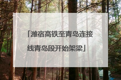 潍宿高铁至青岛连接线青岛段开始架梁