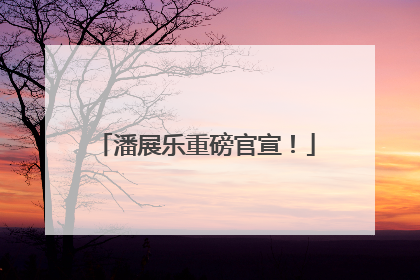 潘展乐重磅官宣！