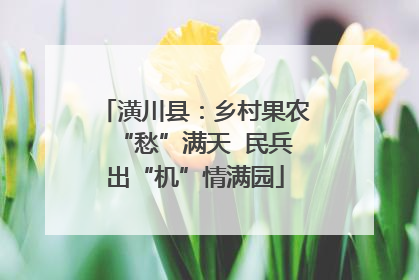 潢川县：乡村果农“愁”满天  民兵出“机”情满园