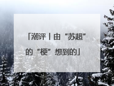 潮评丨由“苏超”的“梗”想到的