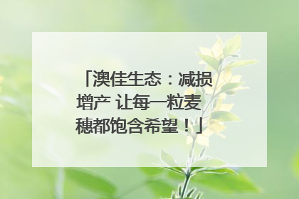 澳佳生态：减损增产 让每一粒麦穗都饱含希望！