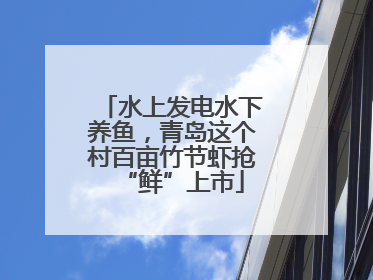 水上发电水下养鱼，青岛这个村百亩竹节虾抢“鲜”上市