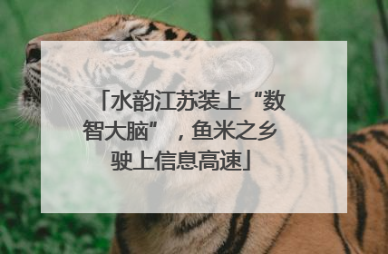 水韵江苏装上“数智大脑”，鱼米之乡驶上信息高速