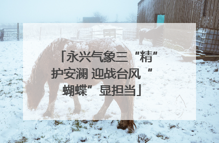 永兴气象三“精”护安澜 迎战台风“蝴蝶”显担当