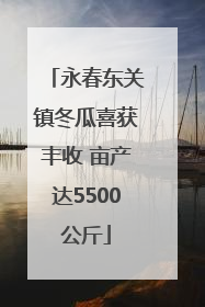 永春东关镇冬瓜喜获丰收 亩产达5500公斤