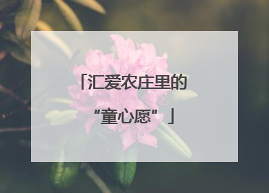 汇爱农庄里的“童心愿”