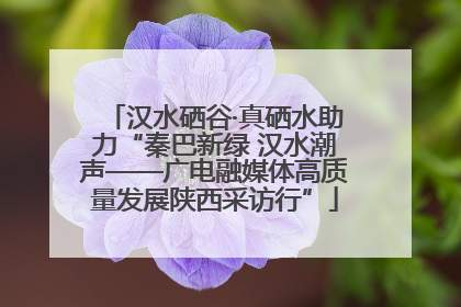 汉水硒谷·真硒水助力“秦巴新绿 汉水潮声——广电融媒体高质量发展陕西采访行”