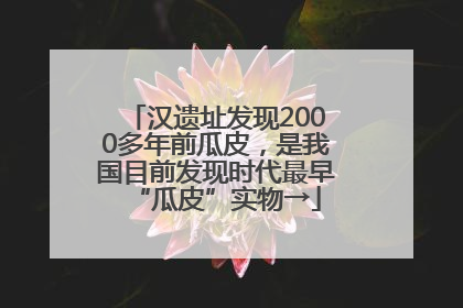 汉遗址发现2000多年前瓜皮，是我国目前发现时代最早“瓜皮”实物→