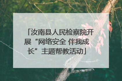 汝南县人民检察院开展“网络安全 伴我成长”主题帮教活动
