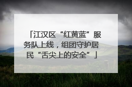 江汉区“红黄蓝”服务队上线，组团守护居民“舌尖上的安全”