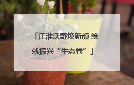 江淮沃野焕新颜 绘就振兴“生态卷”