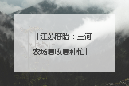 江苏盱眙：三河农场夏收夏种忙