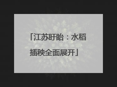 江苏盱眙：水稻插秧全面展开