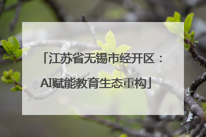 江苏省无锡市经开区:AI赋能教育生态重构