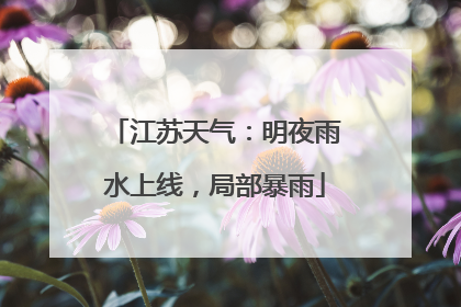 江苏天气：明夜雨水上线，局部暴雨