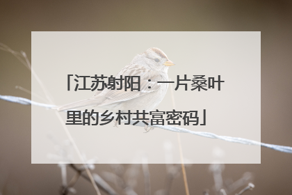 江苏射阳：一片桑叶里的乡村共富密码
