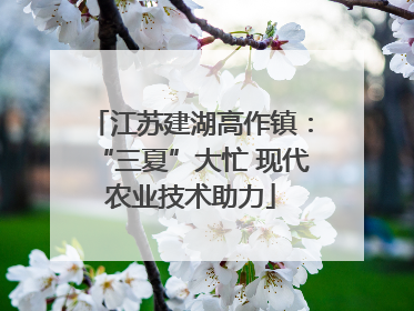 江苏建湖高作镇：“三夏”大忙 现代农业技术助力
