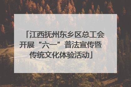 江西抚州东乡区总工会开展“六一”普法宣传暨传统文化体验活动