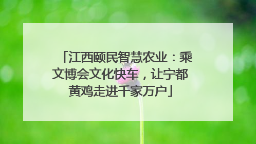 江西颐民智慧农业：乘文博会文化快车，让宁都黄鸡走进千家万户