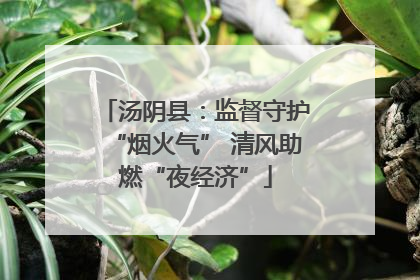 汤阴县：监督守护“烟火气” 清风助燃“夜经济”