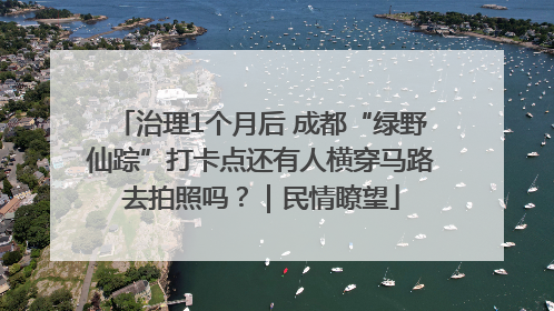 治理1个月后 成都“绿野仙踪”打卡点还有人横穿马路去拍照吗？｜民情瞭望