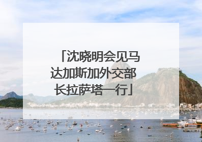 沈晓明会见马达加斯加外交部长拉萨塔一行