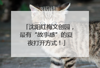 沈阳红梅文创园，最有“故事感”的夏夜打开方式！