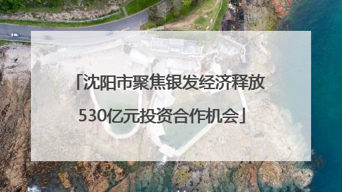 沈阳市聚焦银发经济释放530亿元投资合作机会