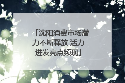 沈阳消费市场潜力不断释放 活力迸发亮点频现