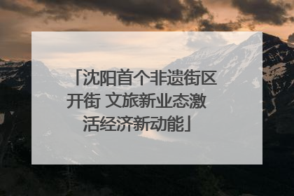 沈阳首个非遗街区开街 文旅新业态激活经济新动能