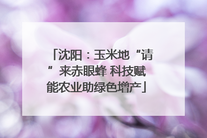 沈阳：玉米地“请”来赤眼蜂 科技赋能农业助绿色增产