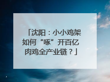 沈阳：小小鸡架如何“啄”开百亿肉鸡全产业链？