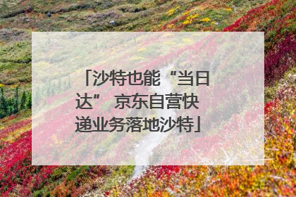 沙特也能“当日达” 京东自营快递业务落地沙特