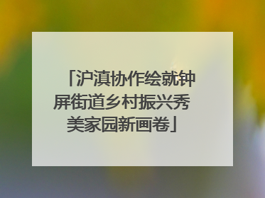沪滇协作绘就钟屏街道乡村振兴秀美家园新画卷