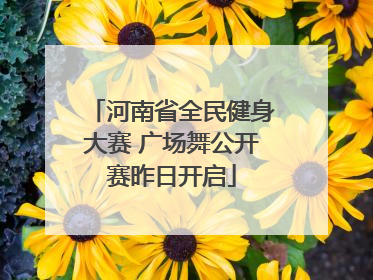 河南省全民健身大赛 广场舞公开赛昨日开启