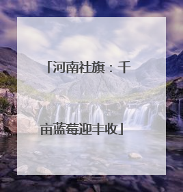 河南社旗：千亩蓝莓迎丰收