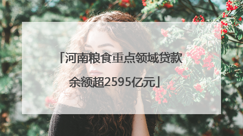 河南粮食重点领域贷款余额超2595亿元