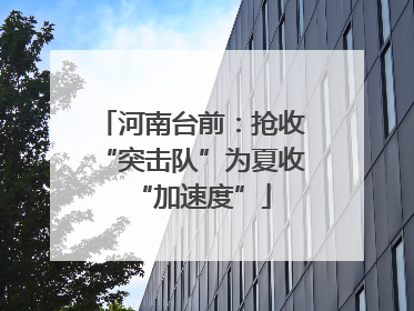 河南台前：抢收“突击队”为夏收“加速度”